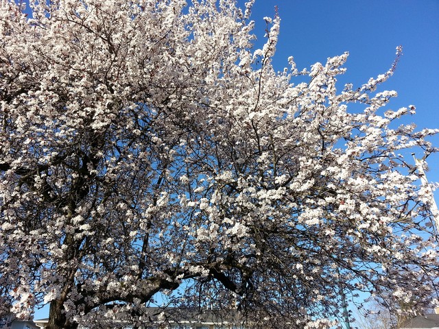 141646a0we505a00p61p9p