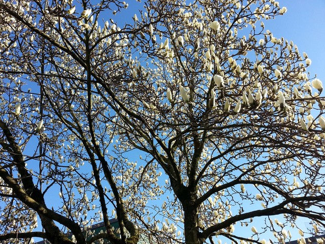 141715czearp0errfazwz5